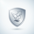 Package Protection Shield Icon